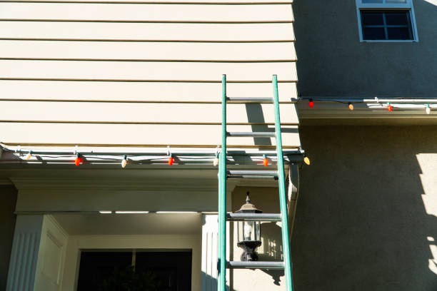 Best Vinyl Siding Installation  in Holland, TX