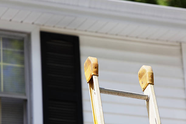 Best Insulated Siding Installation  in Holland, TX